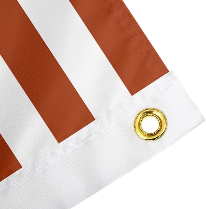 Desert Cactus University of Texas Indoor and Outdoor 100% Polyester University Flag Banner, 3x5 Feet Nation Style - for Decor, Events, and Texas Longhorns Pride Display - UT KICK ASS